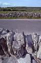 WT 2900 342-08 Ireland